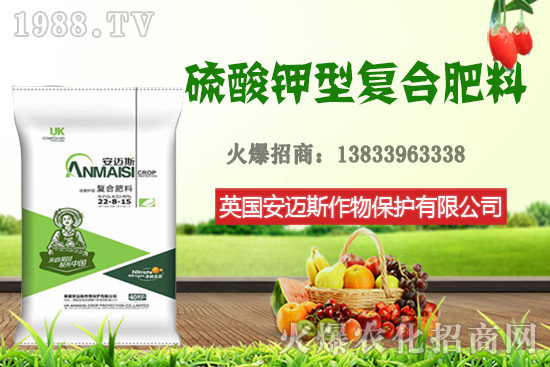 今日花生價(jià)格多少錢一斤？10月24日花生價(jià)格行情