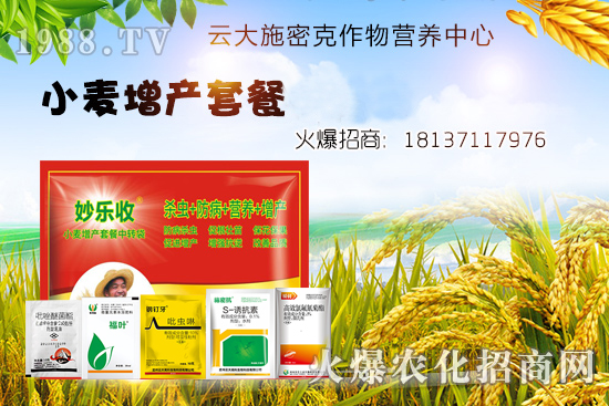 小麥播種后不出苗？是什么原因造成的？