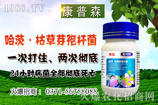 С���r(ji��)��ֹ���ط�(w��n)��С���r(ji��)���ܝq������