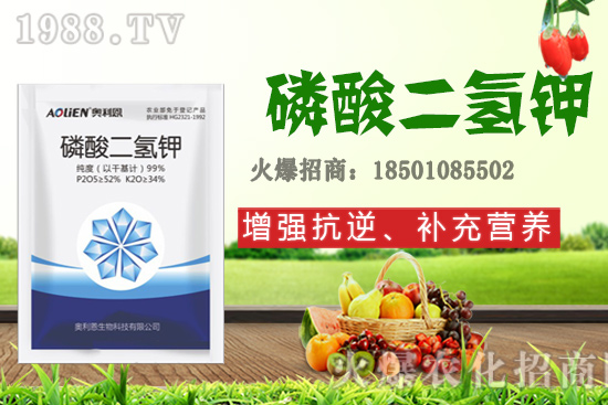 ����ʩ�D�ʺ�̎����Щ����Щ����Ҫʩ���D��ԓ��ôʩ��