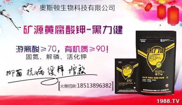 ����ʲô�r(sh��)�g���N��ע�����(xi��ng)����Щ�����ش���Nֲ�r(sh��)�g����