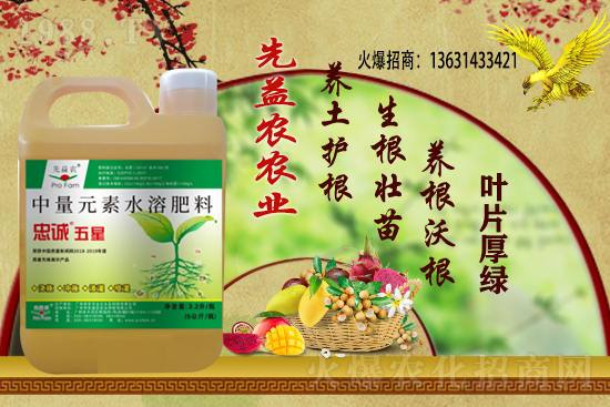 小麥價(jià)格多少錢(qián)一斤?今日小麥價(jià)格行情!