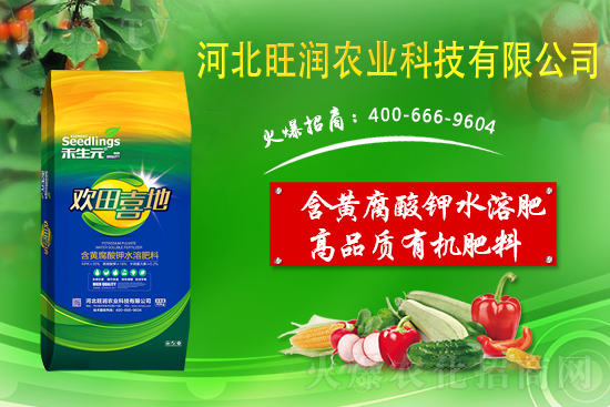 ���@����Ĥ��ô�Ч���������@䁷���Ĥ��Ҫ�c(di��n)��