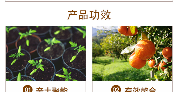 �H��͸���-��֮��_04