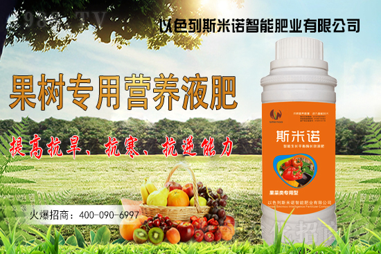 大豆價(jià)格持續(xù)“高漲”？今日東北大豆報(bào)價(jià)一覽！