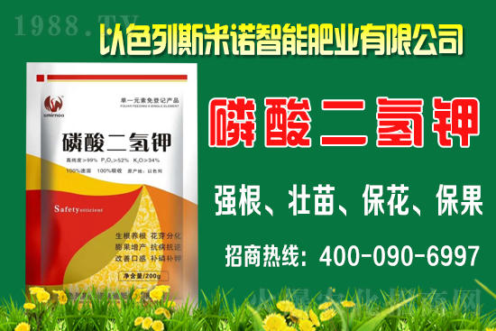 柑橘什么時(shí)間施肥？柑橘的施肥時(shí)間及用量介紹！