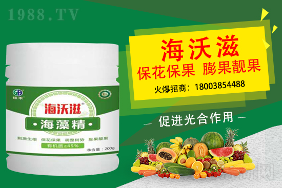 造成草莓果小是什么因素？怎么促進草莓膨果呢？