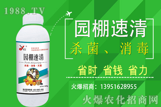 2020年11月5日局部花生價(jià)格報(bào)道！