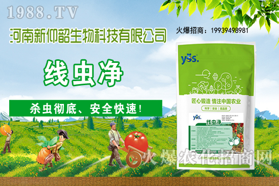 11月6日國(guó)內(nèi)小麥價(jià)格大多穩(wěn)，局部小幅波動(dòng)！