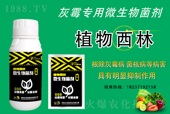 ��ù�������ε�ԭ������ô������Ч������