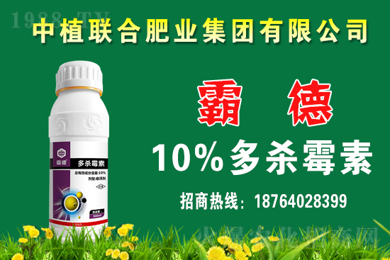 �r(n��ng)ˎʹ��