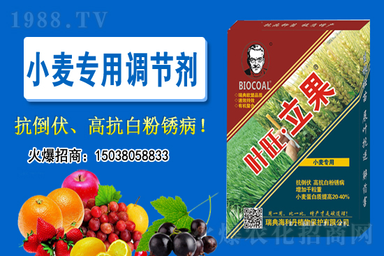 С���r(ji��)��