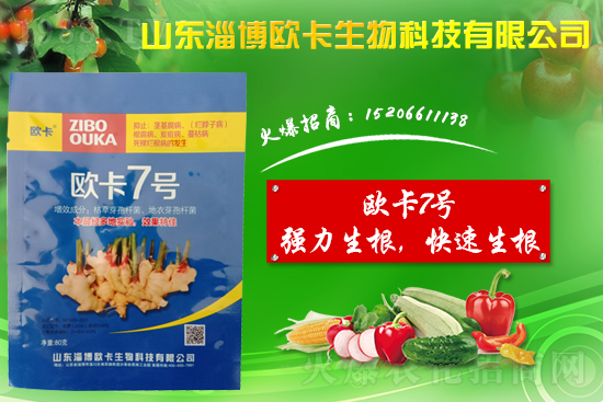 �󽪠����Ӳ���ʲô�����󽪠����Ӳ���ʲôˎ�÷���