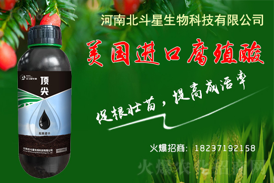 �ؗ͜l����������Nֲ��������������B(y��ng)�����o(h��)��