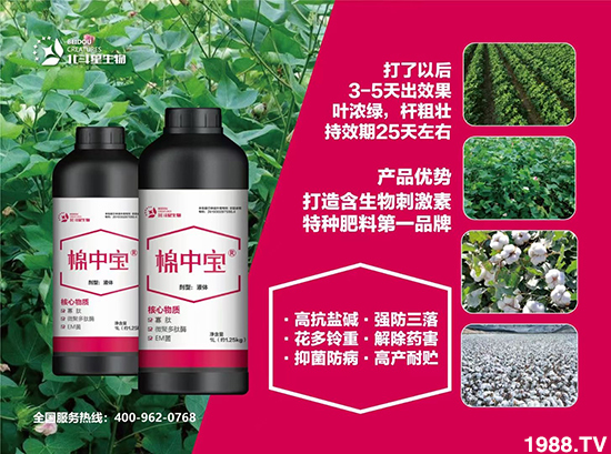 �طN�ʞ�ʲô�@ô������ʲô���c֮̎��