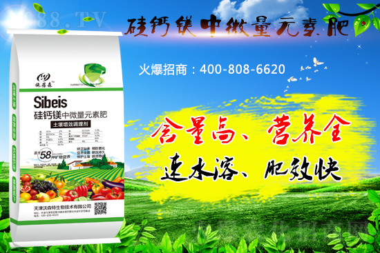 ���}�VԪ�ط����˽��������̎����Щ��