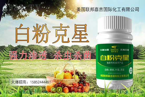 �����׷۲�����y�Է����������׷۲������ˎ����Ч���ã�