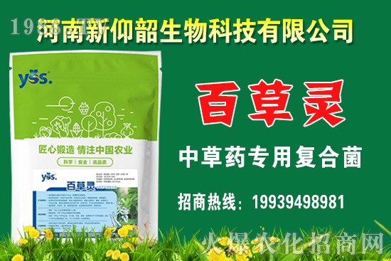 今年小麥價格還會漲嗎？2020年12月小麥價格行情如何？