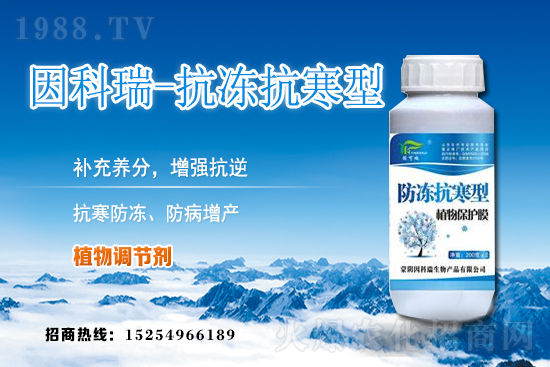 ���յ��ȃr(ji��)������Xһ����2020��12��9�յ��ȃr(ji��)������