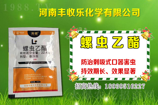 2021���޻��NֲƷ�Nԓ��ô�x���޻��x�NҪע����Щ���}��