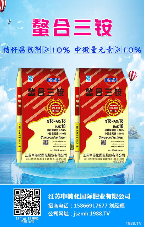 生菜水培的好處有哪些？生菜水培管理方法！