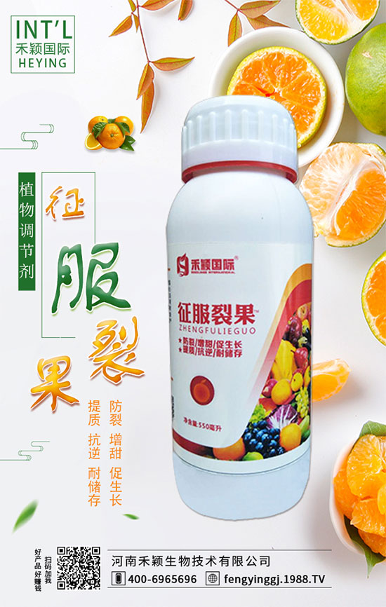 柑橘什么時間適宜栽種?柑橘肥水管理有哪些?