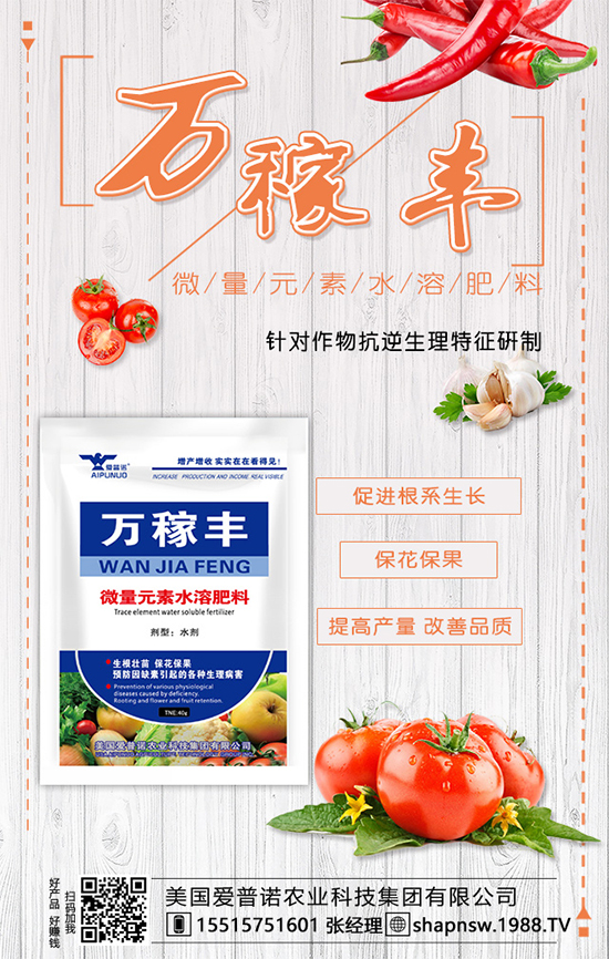 茶葉是什么時(shí)候種植的？茶葉的市場(chǎng)前景及種植效益！