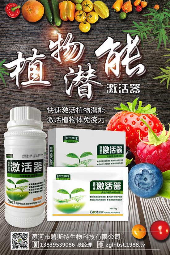 天麻怎么種成活率高？天麻什么時候種植更好？