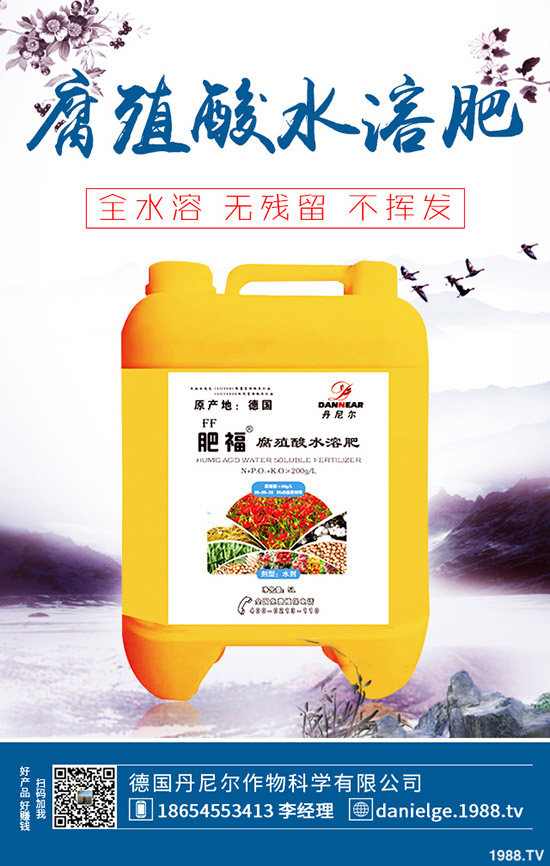 ������ô���ٴ�ѿ�����˴�ѿ�����������