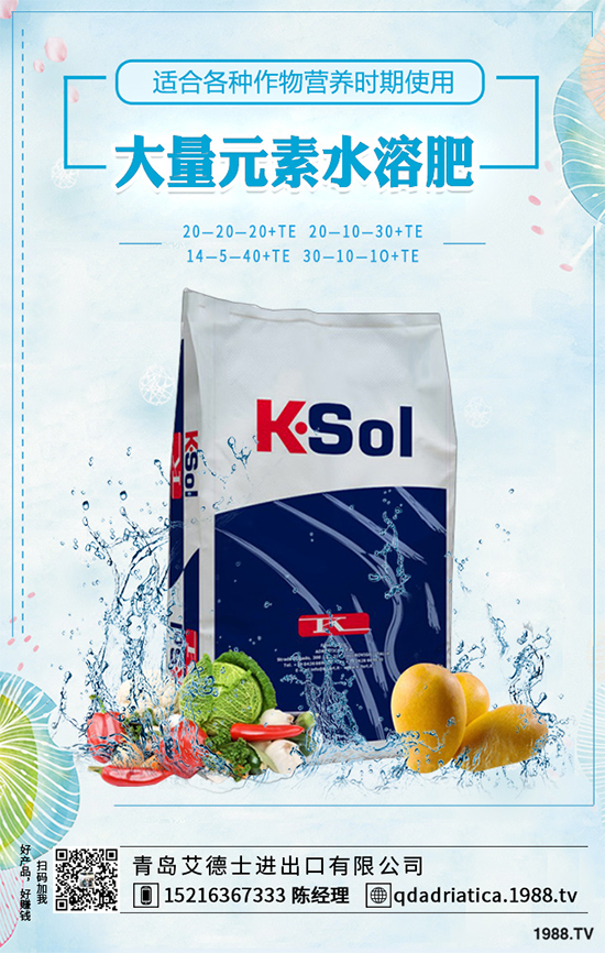 大棚西紅柿該如何種植？春季西紅柿種植管理技術(shù)