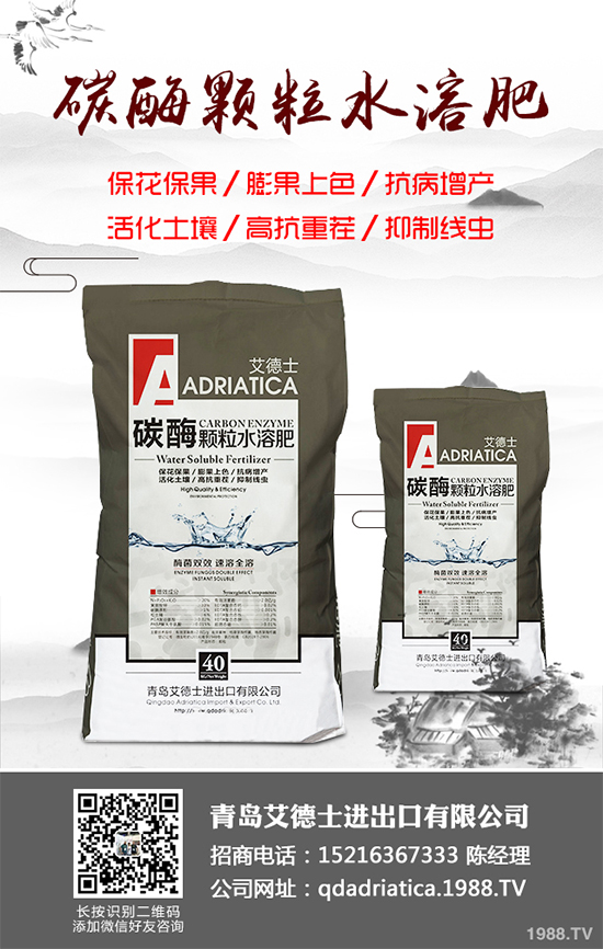 大棚西紅柿該如何種植？春季西紅柿種植管理技術(shù)