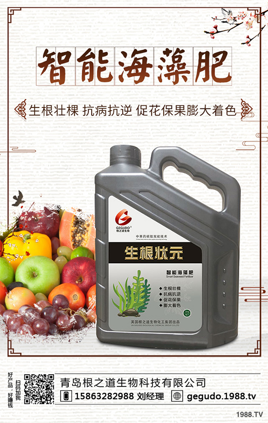 棉花種植怎么管理?棉花各個生長期的管理技術要點!