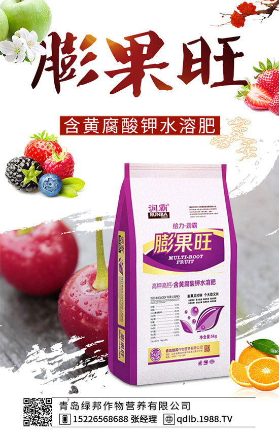 四季豆落花落莢是什么原因？四季豆落花落莢預(yù)防措施！