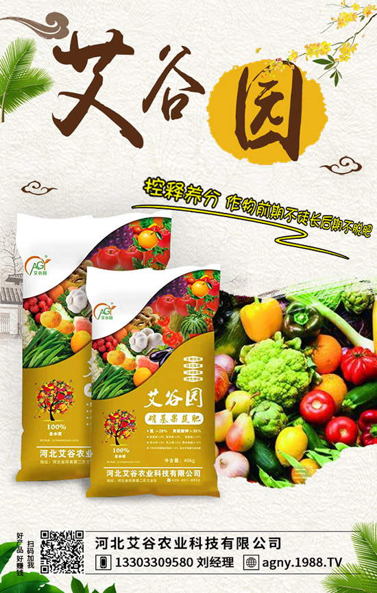 蘋果樹施肥不當遭肥害！專家教你如何預防肥害！