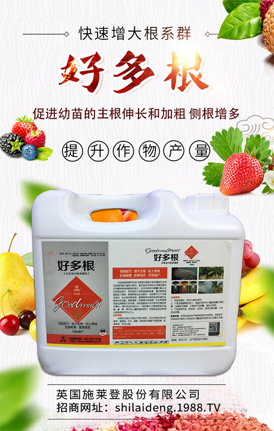 春季菠菜在什么時候種植好?菠菜種植技術(shù)要點有哪些?