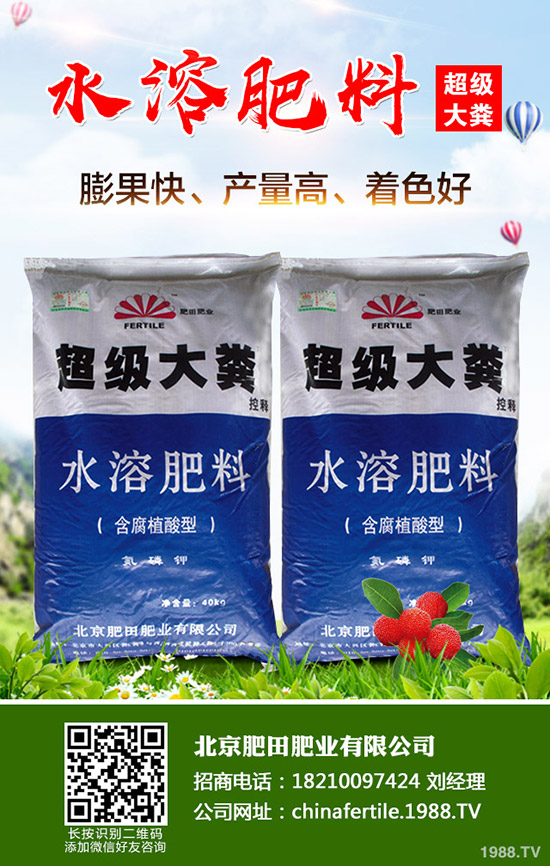 ���Ѵ�����������Ҫ��Щʲô���������ѹ������g(sh��)��