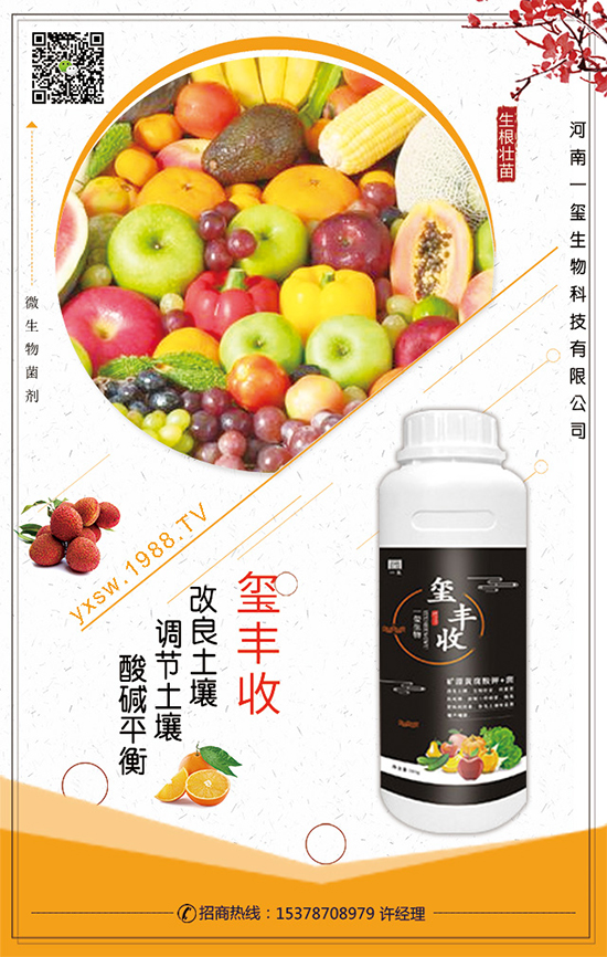 ��������ô�Nֲ��������Nֲ���g(sh��)��