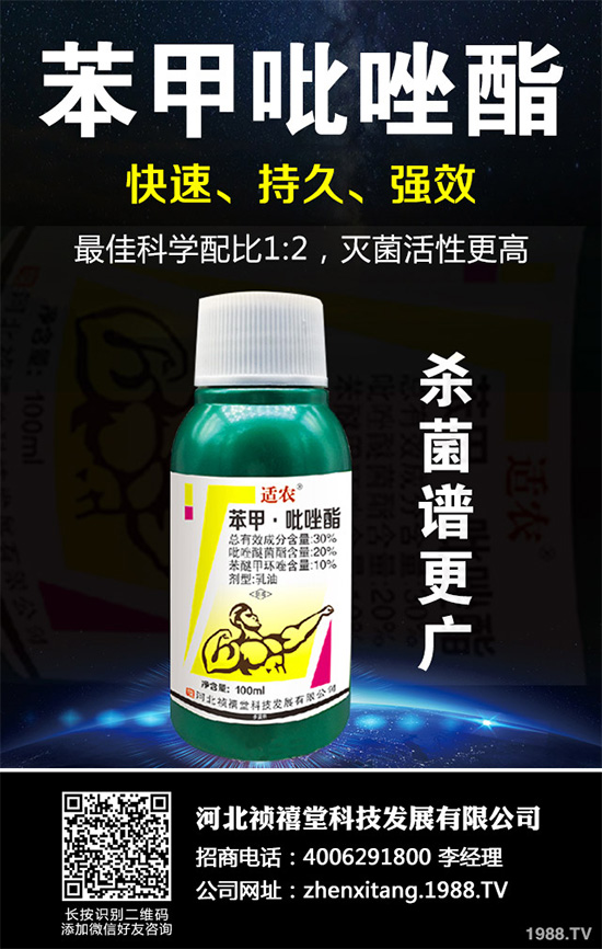 ������������~���򊙊����t��ǰ������