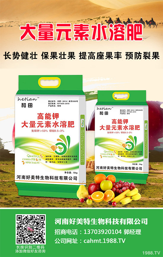 ��(x��)���[��ηNֲ���ܸ߮a(ch��n)����Ҫע��ʲô���@�傀(g��)С���ɷ���һ����