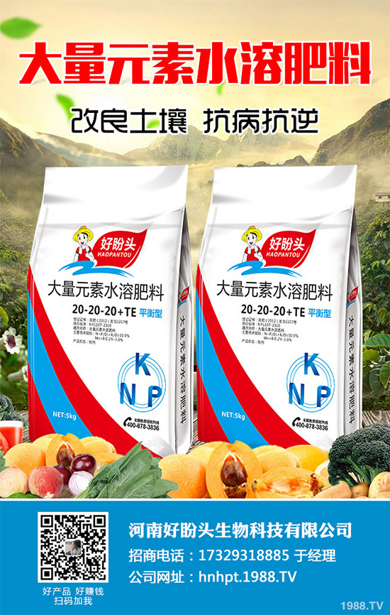 �o��������Щ�I�B(y��ng)�r(ji��)ֵ���o�����Ĺ�Ч���ü�ʳ�ý���