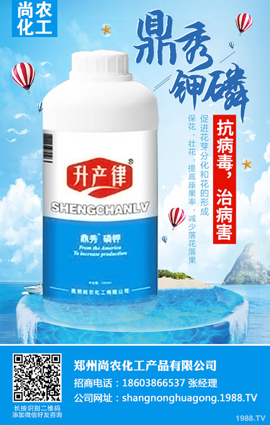 甘藍(lán)不結(jié)球怎么辦,甘藍(lán)不結(jié)球原因及防治措施!