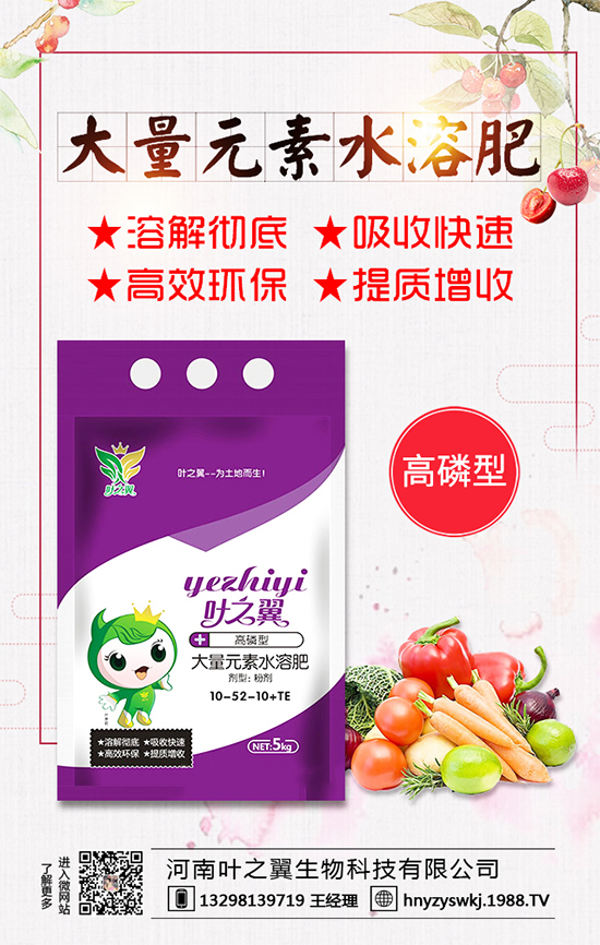 薄荷生長習性有哪些？薄荷的田間管理要點！