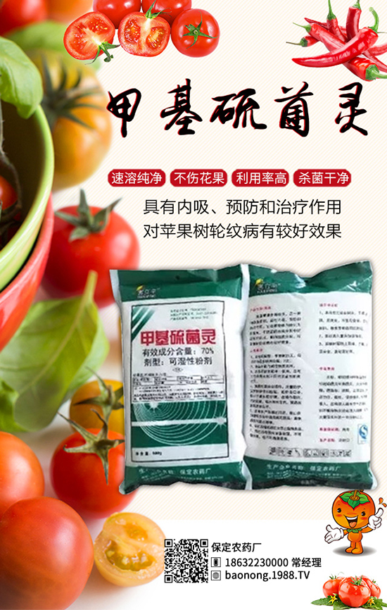 �������t�����༼�g(sh��)���������t�����x�����Σ�