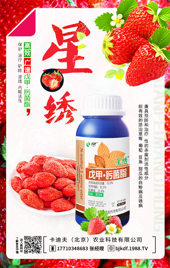 ����Ҫ��Ҫ��⣿����������_��֦�������