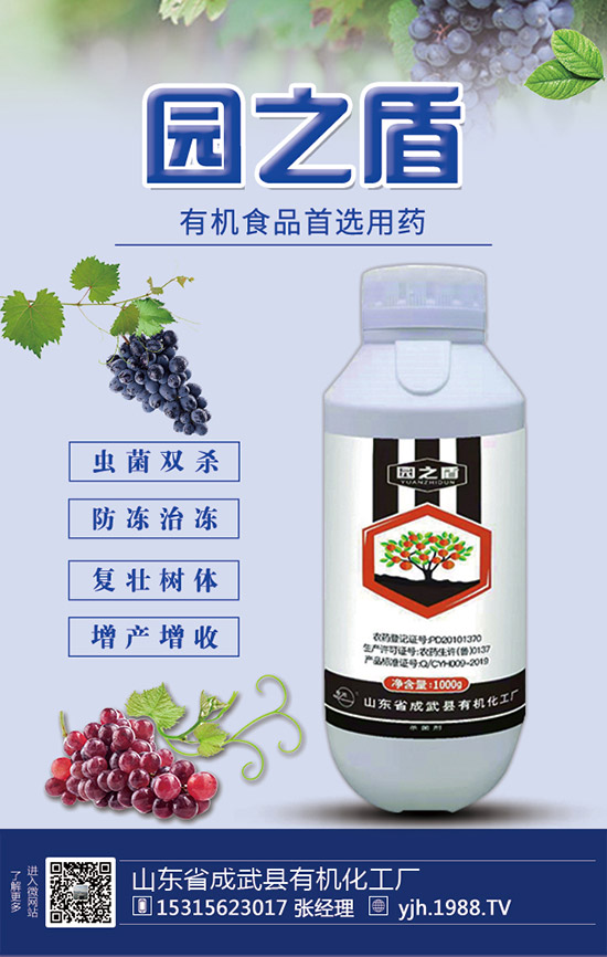 �����������������ʩ�ʼ��g��Ҫ�c��