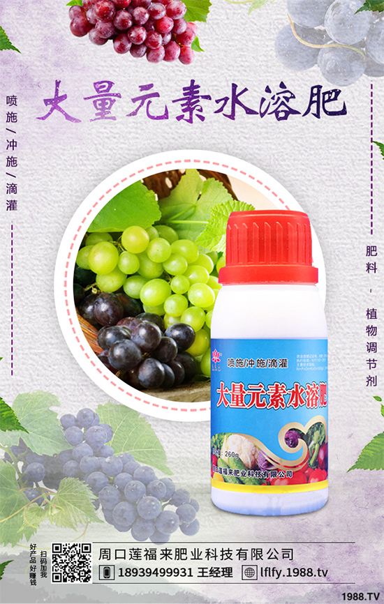 ���v�̶����Xһ�����Nֲǰ����Σ���ˎ�ĵ�Ч�����