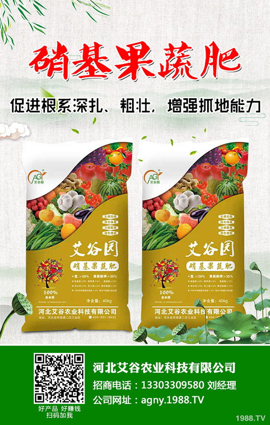     ������@���w�����»���2020-4-30�������¶��@�r(ji��)�������߄�(sh��)������