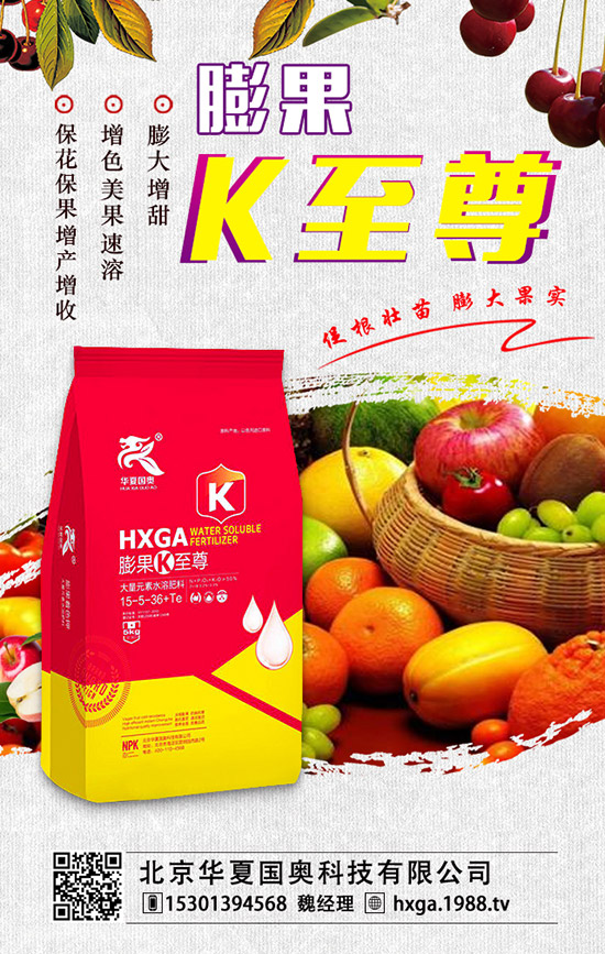 ��ޱ�辰��ηNֲ����ޱ�辰�ķNֲ������ע�������