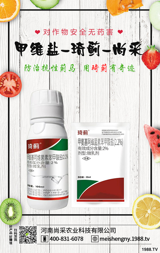 ���ѾGä��Σ�����������ѾGä���İl(f��)�����c�c������