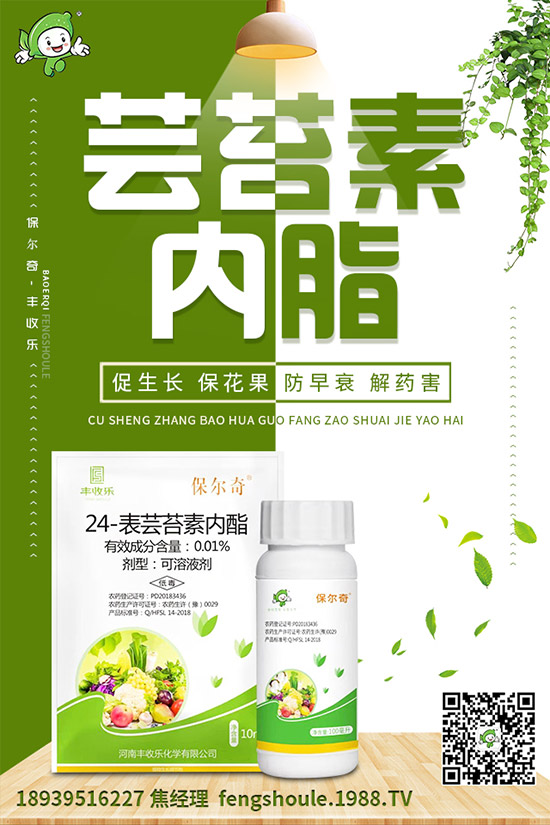 �������ô�޽�����ϼ޽Ӹ߮a(ch��n)�Nֲ���g(sh��)��